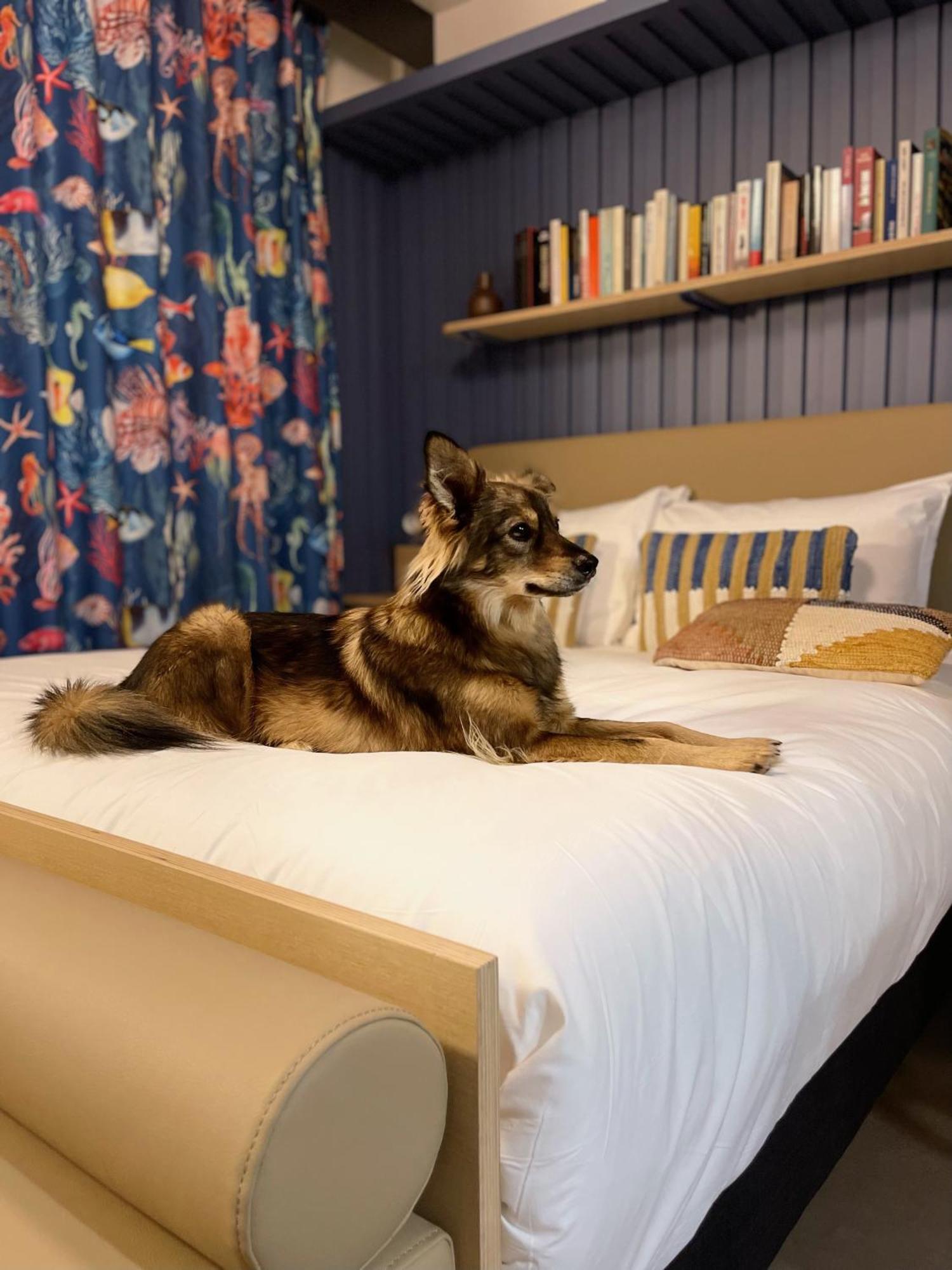 Jost Hotel Le Havre Centre Gare Zewnętrze zdjęcie